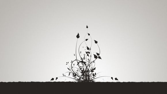 xy苹果助手怎么下