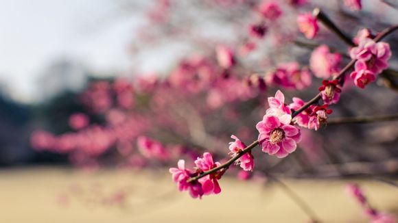 京东质控岗是干什么的